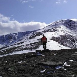 Meet your Posher, Bentley